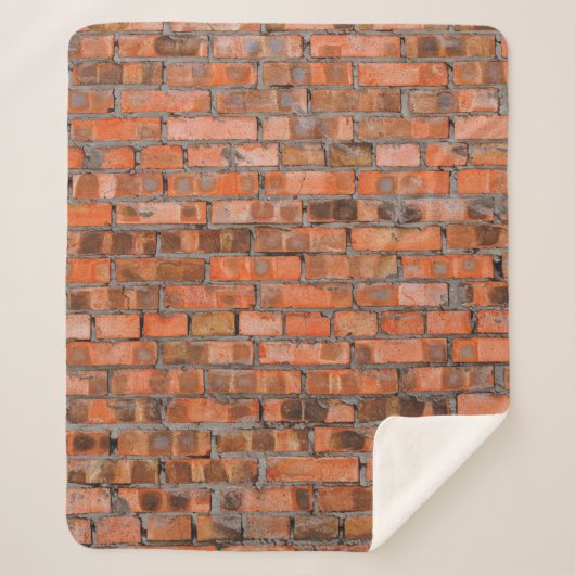 Texture of an old brick wall closeupaged,architect シェルパブランケット (正面)