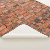 Texture of an old brick wall closeupaged,architect シェルパブランケット (3/4)