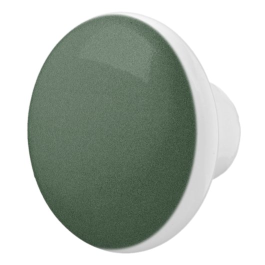 Textured Green Ceramic Knob for Cabinets セラミックノブ (右)