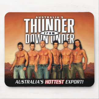 TFDUのマウスパッド マウスパッド