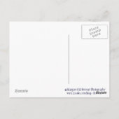 TGIFロザリー葉書 ポストカード (裏面)