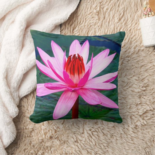 Thailand - Kumphawapi Lotus Lake クッション (ブランケット)