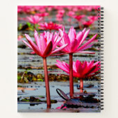 Thailand - Kumphawapi Lotus Lake ノートブック (裏面)