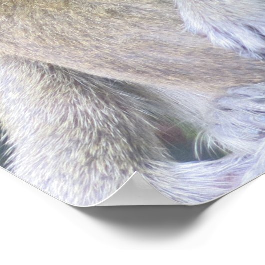 Thailand Monkey Mother and Child Hug ポスター (角)