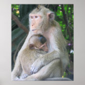 Thailand Monkey Mother and Child Hug ポスター (正面)