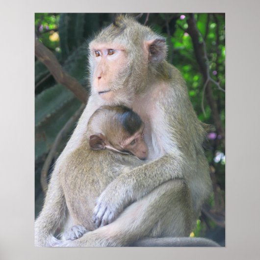 Thailand Monkey Mother and Child Hug ポスター (正面)