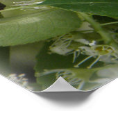 THAME_ets_loa_P5140161g ポスター (角)