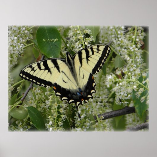 THAME_ets_loa_P5140161g ポスター (正面)