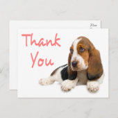 Thank Basset Hound Greeting Post Card ポストカード (正面/裏面)