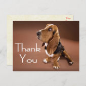 Thank Basset Hound Greeting Post Card ポストカード (正面/裏面)
