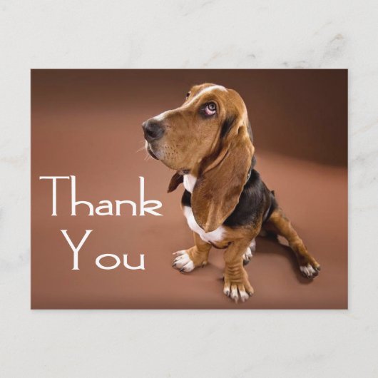 Thank Basset Hound Greeting Post Card ポストカード (正面)