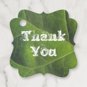 Thank Birght Green Leaf写真鑑賞 フェイバータグ