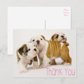 Thank English Bulldog Puppy Dogsハガキ ポストカード (正面/裏面)