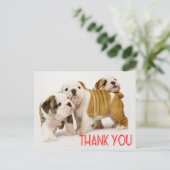Thank English Bulldog Puppy Dogsハガキ ポストカード (スタンド正面)