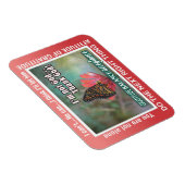 thank God  slogans butterflies Magnet マグネット (右側)