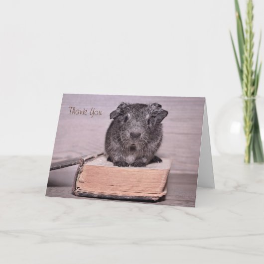 Thank Guinea Pigが本に座ってくれてありがとう サンキューカード (正面)