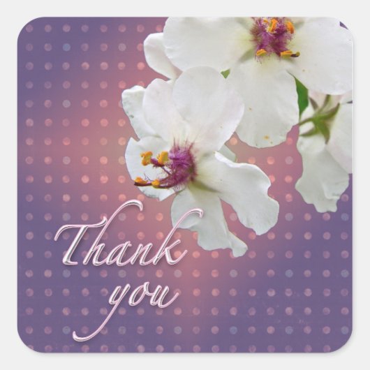 Thank Moth Mullein Wildflower スクエアシール (正面)