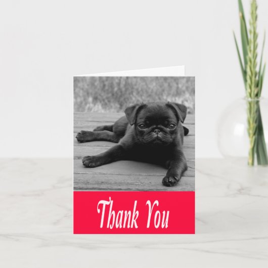 Thank Pug Puppy Pink, Black & White Note Card サンキューカード (正面)