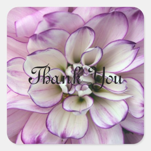 Thank Youスタンプ スクエアシール (正面)
