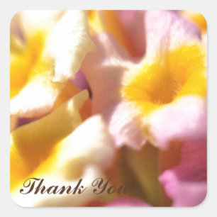 Thank Youスタンプ スクエアシール