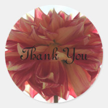 Thank Youスタンプ