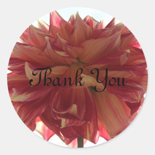 Thank Youスタンプ ラウンドシール (正面)