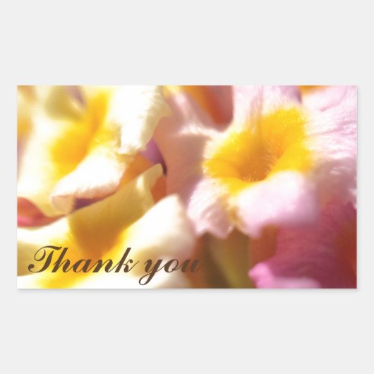 Thank Youスタンプ 長方形シール (正面)