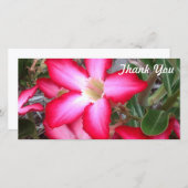 Thank Youフォトカード – 砂漠バラ サンキューカード (正面/裏面)