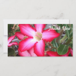 Thank Youフォトカード – 砂漠バラ サンキューカード