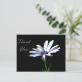 Thank You -デイジー ポストカード (スタンド正面)