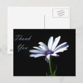 Thank You -デイジー ポストカード (正面/裏面)