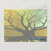 Thank You – ルーツ –  ポストカード (裏面)