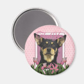 Thank You - Australian Kelpie - Jude マグネット (正面/裏面)