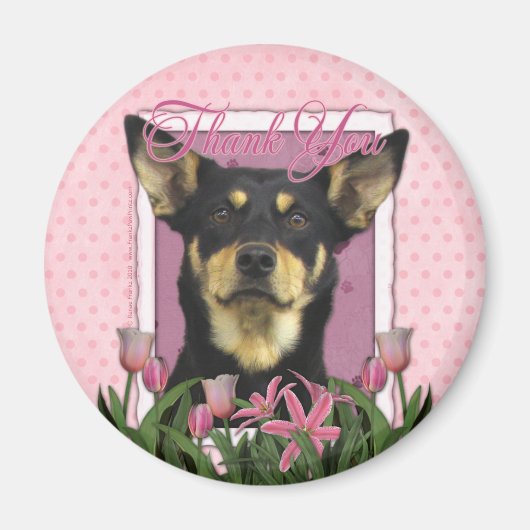 Thank You - Australian Kelpie - Jude マグネット (正面)