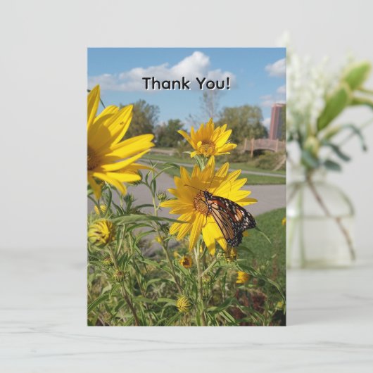 Thank You Butterfly 招待状 (スタンド正面)