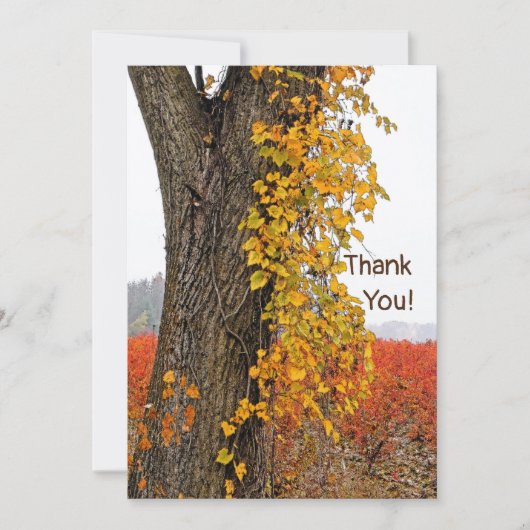 THANK YOU/CUSTOMIZABLE/TREE,つる植物, BLUEBERRYフィールド (正面)