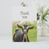 Thank You Cute Farm Animal Goat サンキューカード (スタンド正面)
