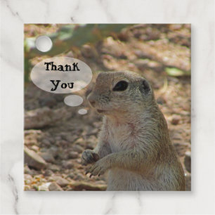 Thank You Ground Squirrel写真砂漠の動物 フェイバータグ