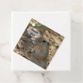 Thank You Ground Squirrel写真砂漠の動物 フェイバータグ (インサイチュ)