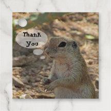 Thank You Ground Squirrel写真砂漠の動物