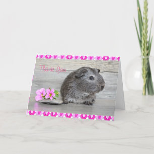 Thank You Guinea Pig Card for a girl サンキューカード
