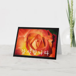 Thank you in Korean – オレンジバラ サンキューカード