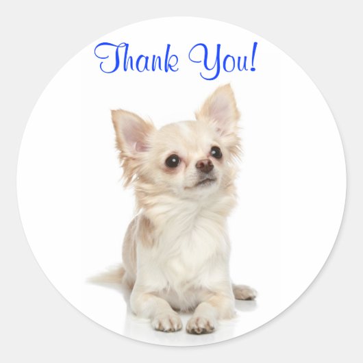 Thank You Long Fed Chihuahua Sticker ラウンドシール (正面)