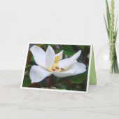 Thank You Magnolia and Honeybees Card サンキューカード (裏面)