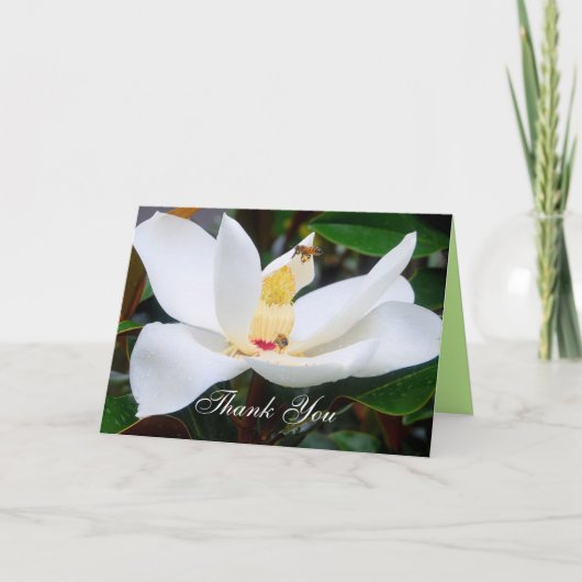 Thank You Magnolia and Honeybees Card サンキューカード (正面)