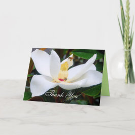 Thank You Magnolia and Honeybees Card サンキューカード