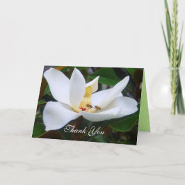 Thank You Magnolia and Honeybees Card サンキューカード