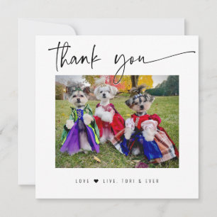 THANK YOU PET PHOTO モダンシンプルSCRIPT サンキューカード