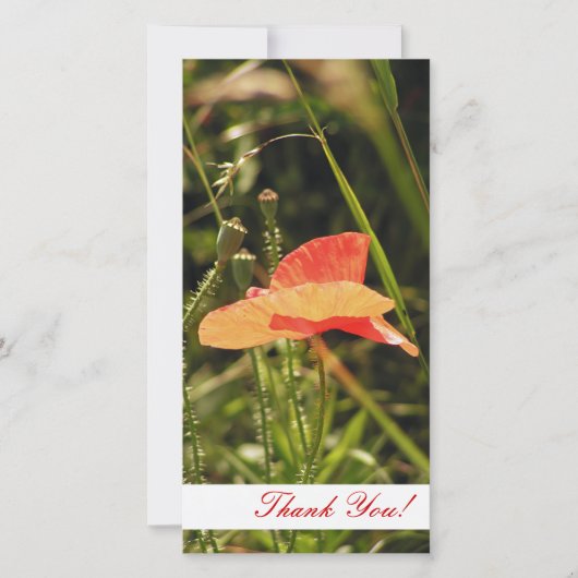 Thank You Photo Card サンキューカード (正面)