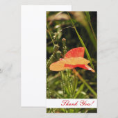 Thank You Photo Card サンキューカード (正面/裏面)